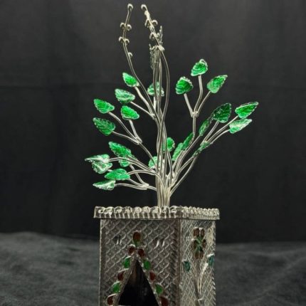Silver Tulsi Plant
